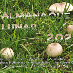 ALMANAQUE LUNAR 2026